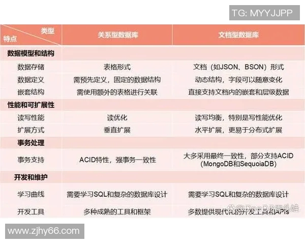 深入解析上海足球队的实力表现与数据分析背后的秘密